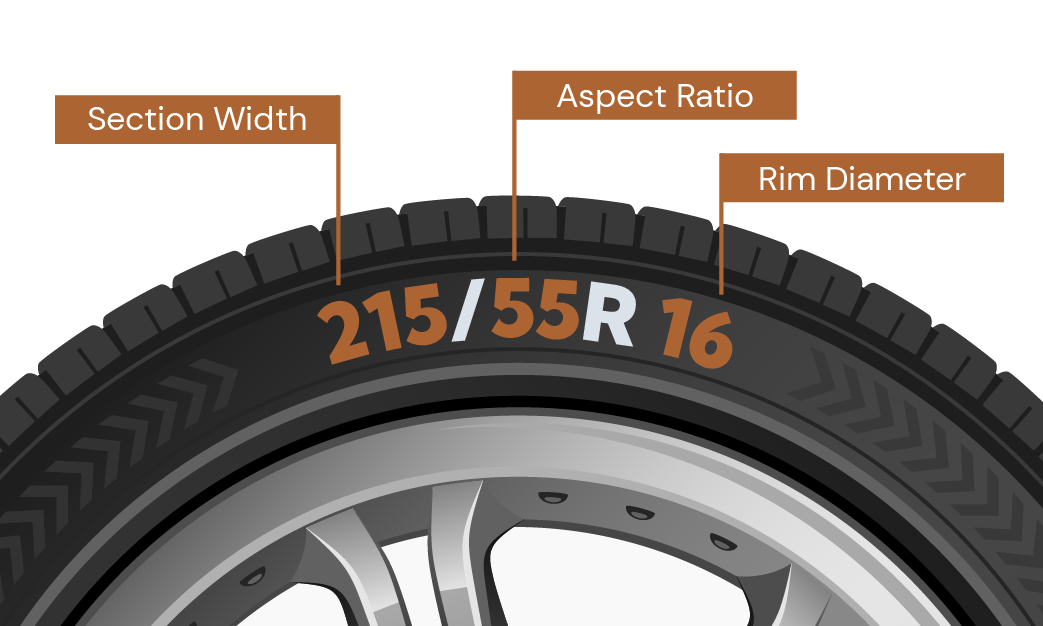 Find Your Tire Size Graphic